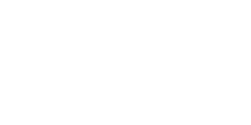 Fundação Luis Figo